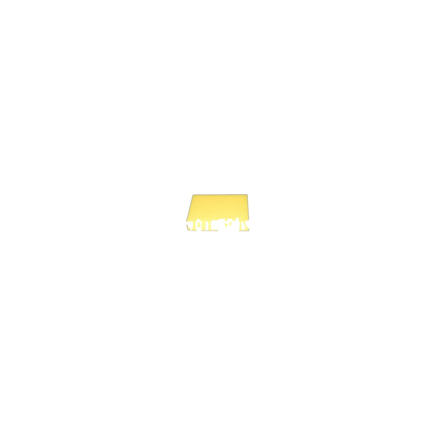 Bissell Foam Upright Filter - 3918
