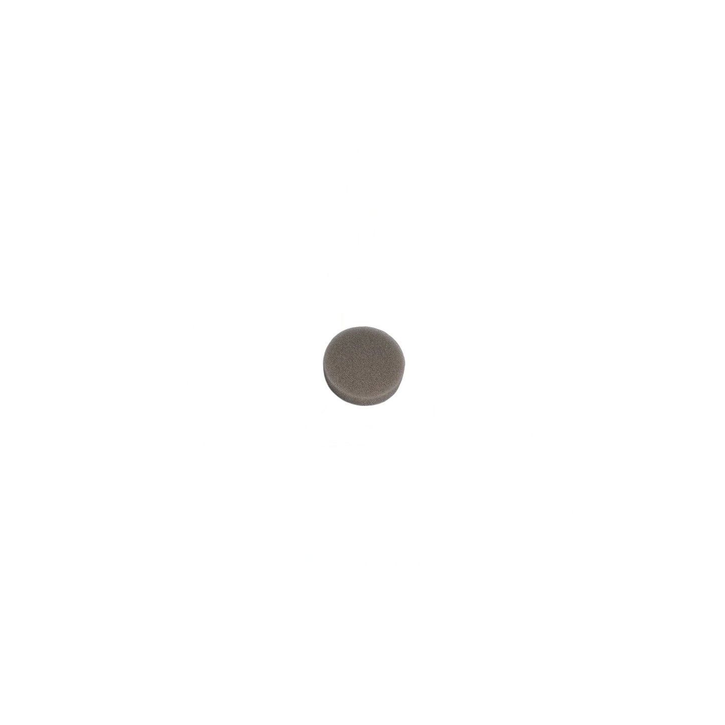 Kirby Sponge Filter - Gen III Renovator