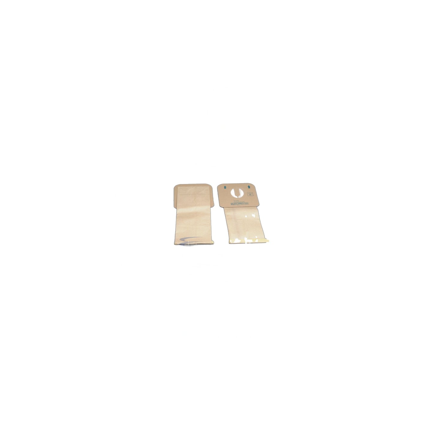 Electrolux Renaissance Micro Paper Bags - 100 Pack, Bulk