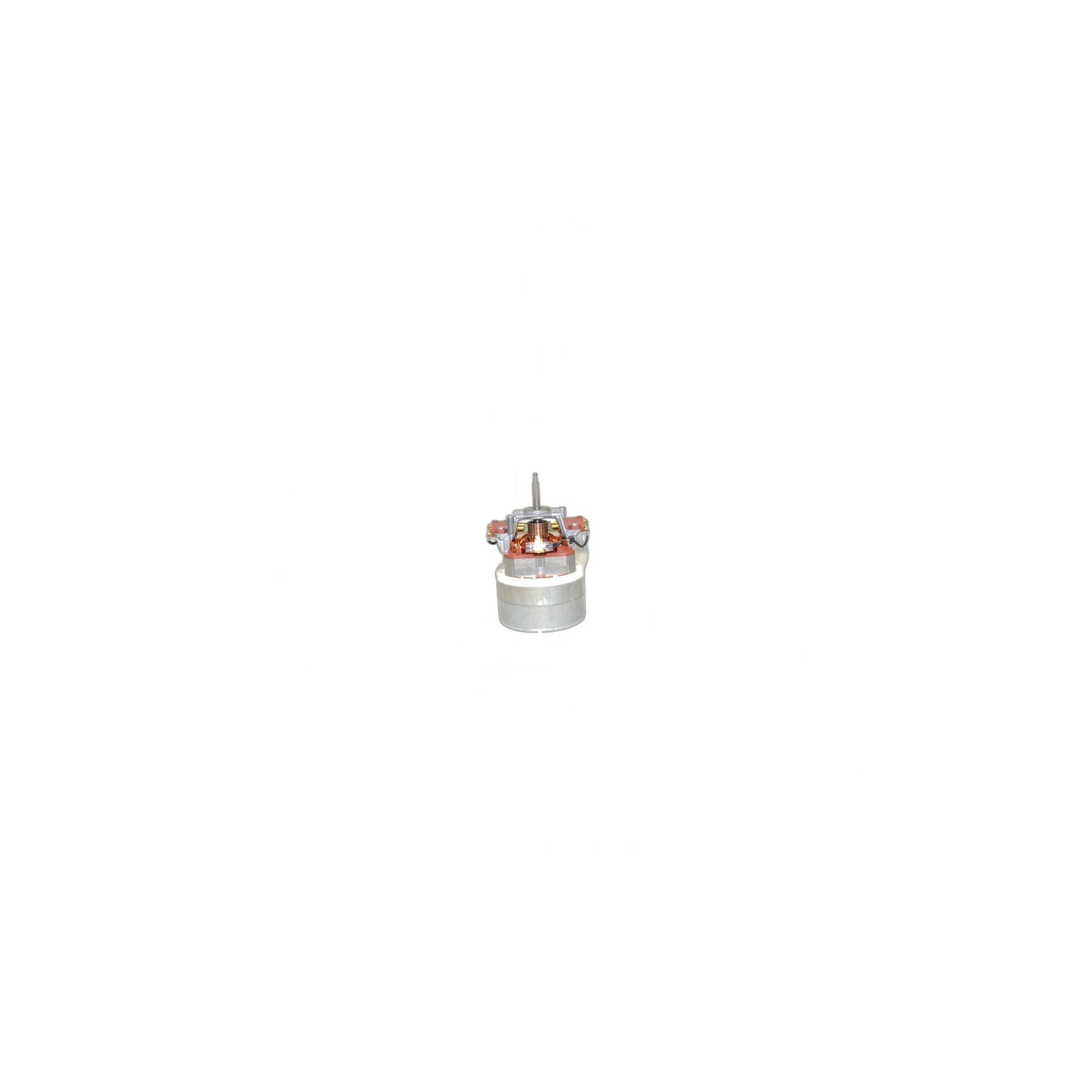 ProTeam Motor Assembly - Progen 15