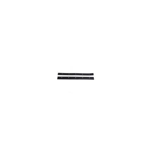 ProTeam Backpack Squeegee Blade