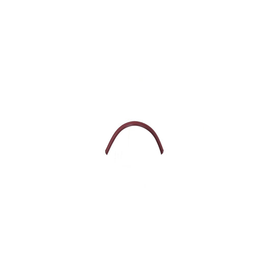 Kirby Legend Ii Maroon Nozzle Trim