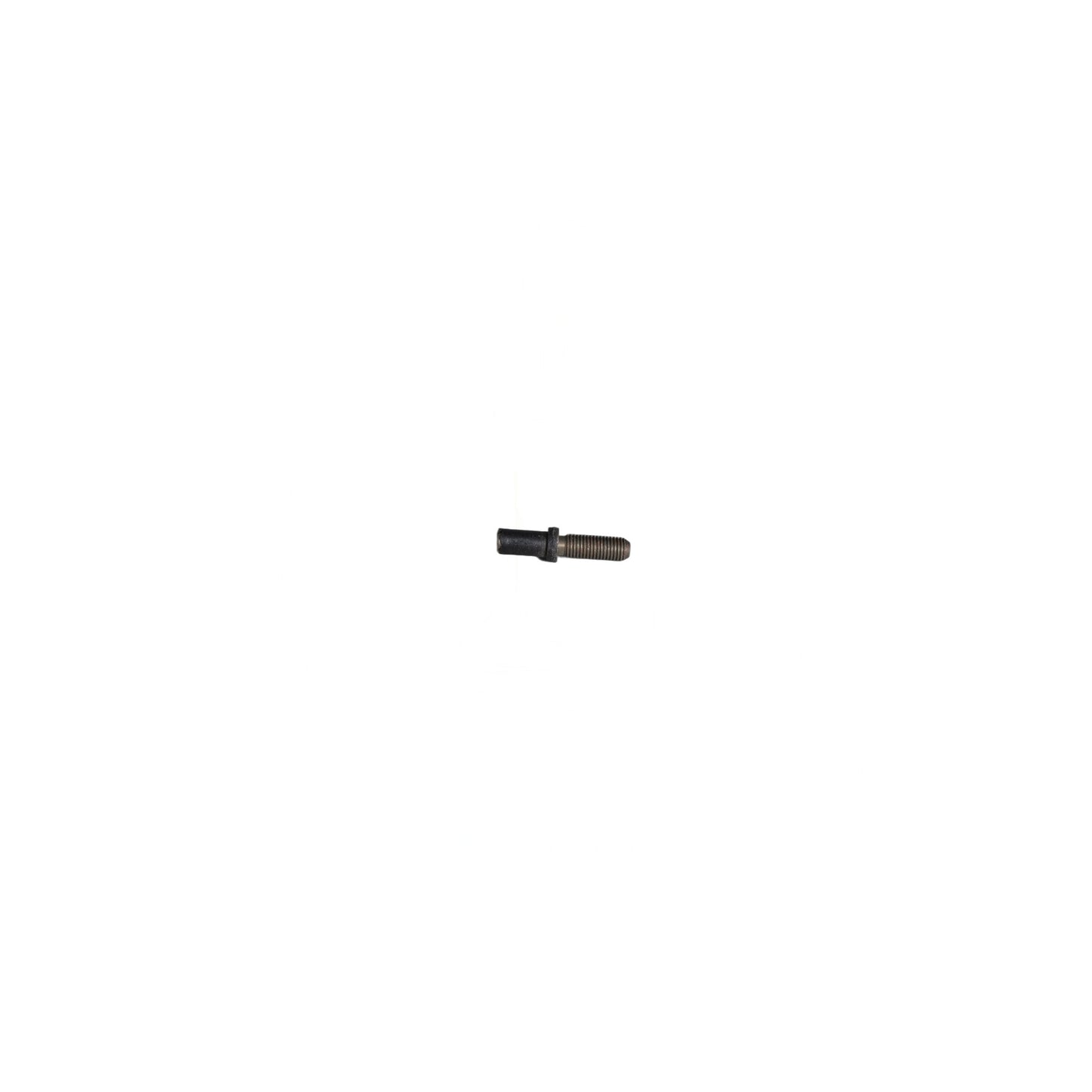 Brush Screw (Small) - Kirby #510
