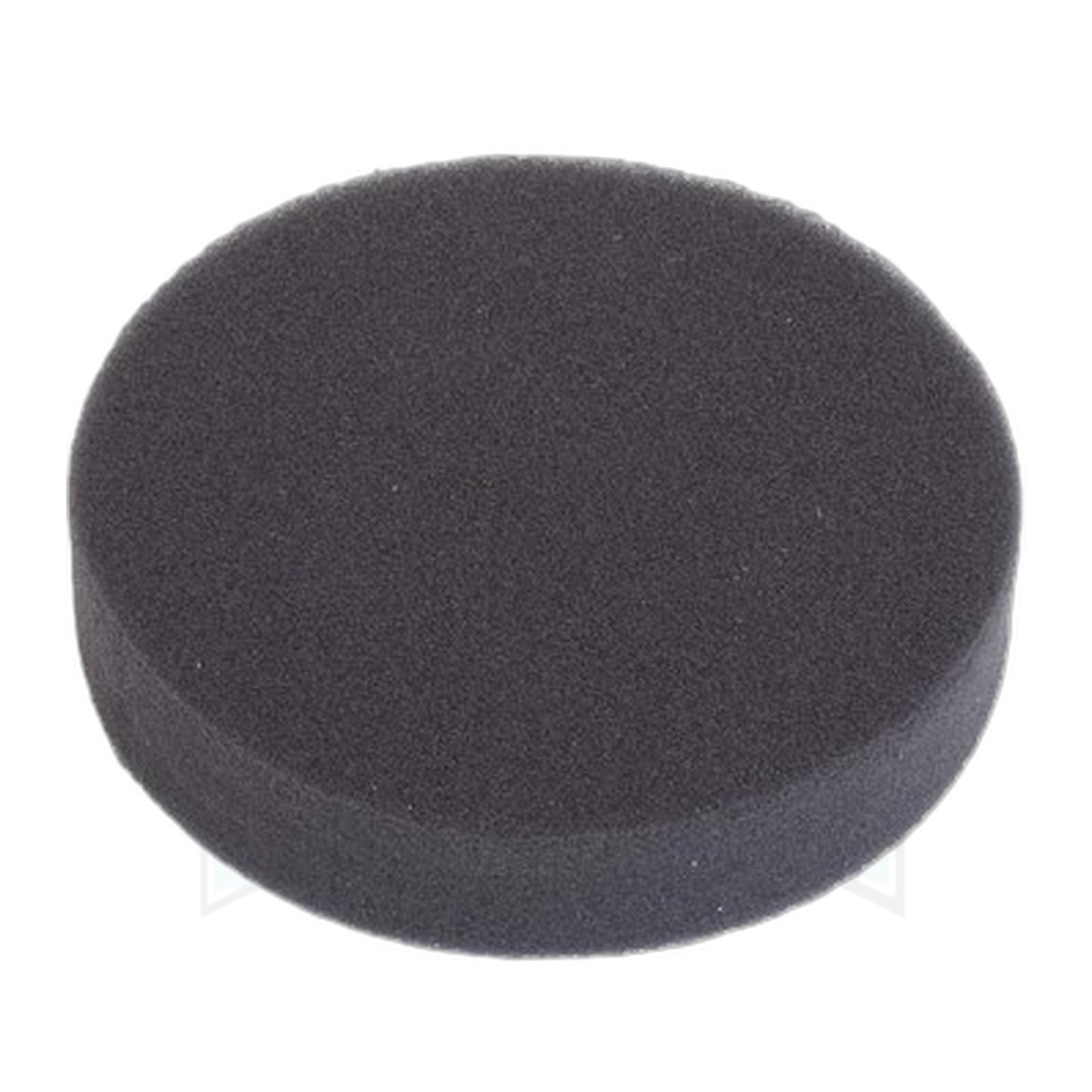 Bissell Febreze Pre-Motor Filter for 1650 Series Pet Hair Eraser
