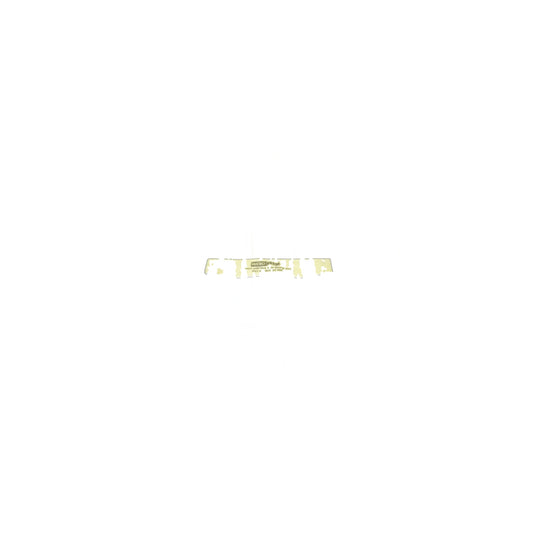 Dirt Devil Micro Fresh Front Panel Filter - Swivel Glide - 3.25 x 7.25 Inch