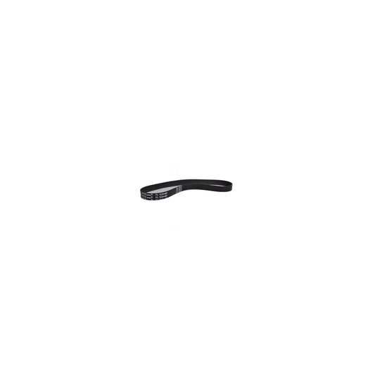 Bissell Belt - 61C5W, Total Floors Pet - 12.8x487mm