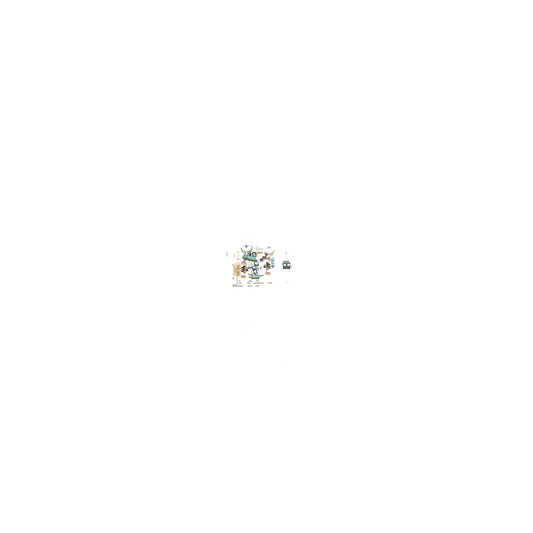SEBO Printed Circuit Board 200W - ET-2, 15"