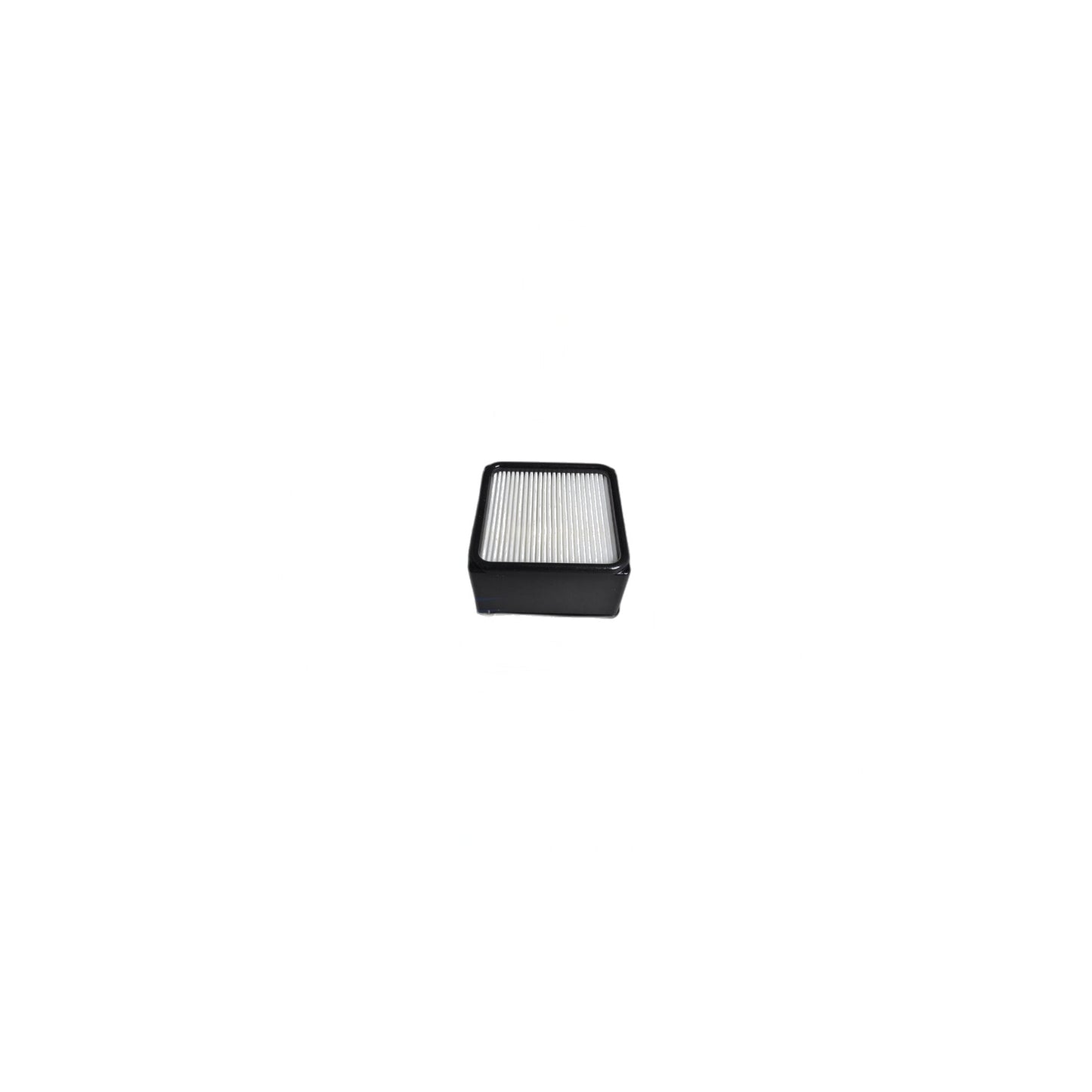 Dirt Devil F51 Exhaust HEPA Filter - UD70010 Ultra Cyclonic Upright