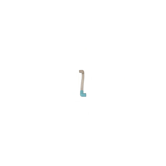 Kirby Sentria II Renovator Hose