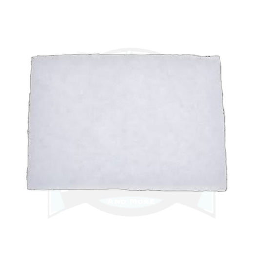Eureka Express 8280/8290 Series Canister Motor Filter