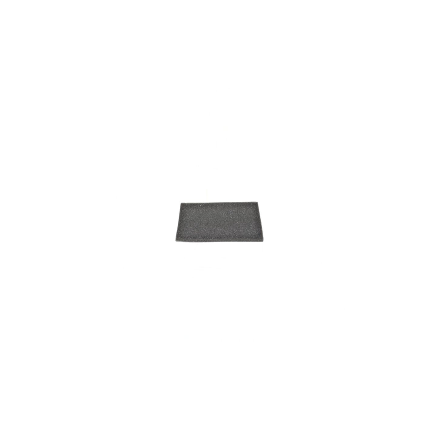 Dirt Devil Exhaust Filter - SD30035 Express Canister