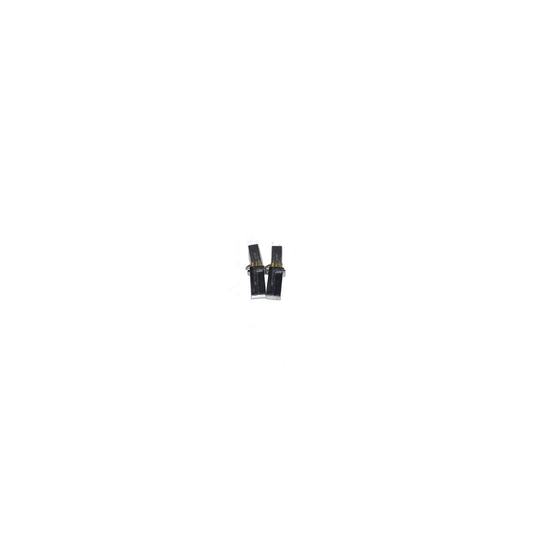 Ametek Carbon Brush Set (2 Pack) - Motor 117507
