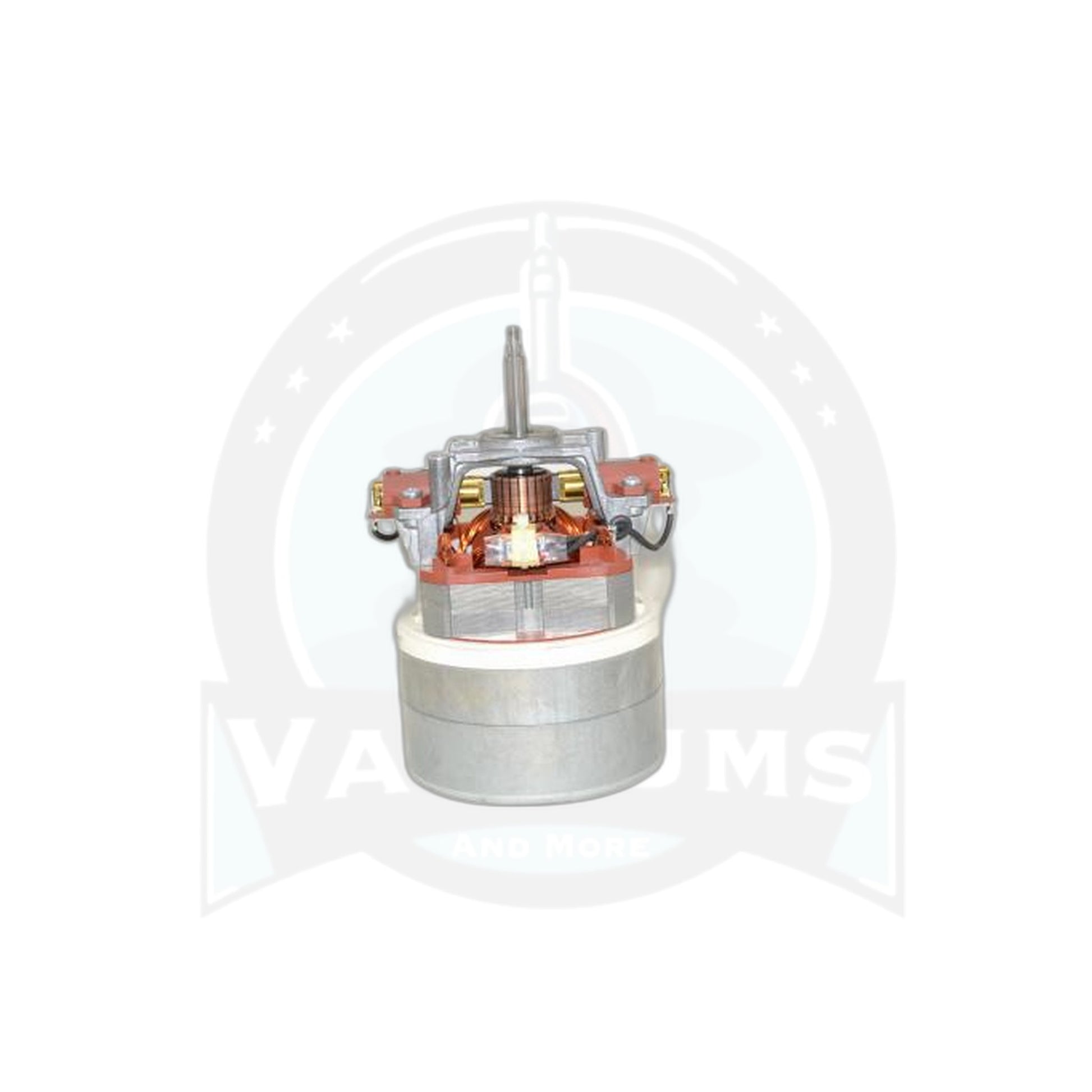 ProTeam Motor Assembly - Progen 15 - ProTeam