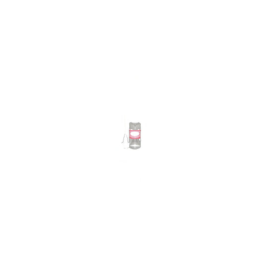 Summer Sorbet Vacuum Fragrance - Oil Base (1.6 oz)