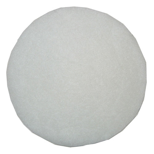Bissell 2030165 Garage Pro Secondary Filter