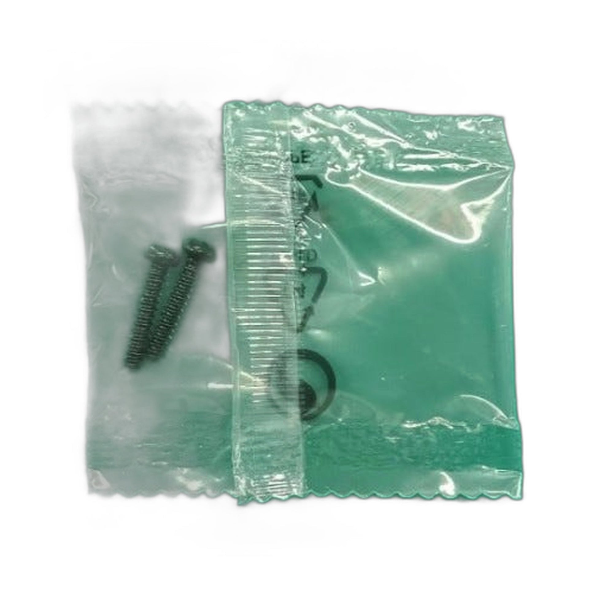 Riccar R65 Charging Base Hardware, 2 Screws